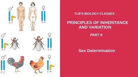 sex commonality principle.